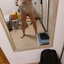 Lietott