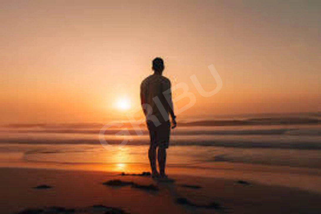 Advertisement (8706473) - Zanziboy 1