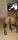 Advertisement (8798950) - Edmunditto 2