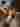 Advertisement (8801507) - runcukins111 3