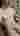 Advertisement (8823147) - Nilsons8967 3