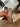 Advertisement (8822515) - LoverBoyXXX 3