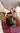 Advertisement (8736071) - Jazon 2