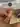 Advertisement (8822515) - LoverBoyXXX 2