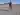Advertisement (8692711) - LordNoble 1