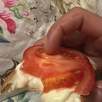 Макс