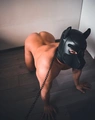 Sludinājumu (8796695) - LuisLv