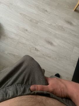 Puisis230