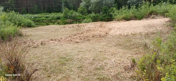 Merida38