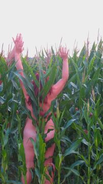maijvabolite
